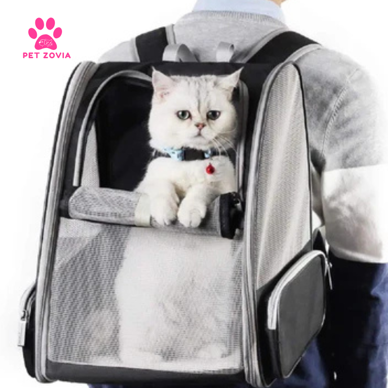 How Pet Carrier Backpack Design Reflects Animal Behavior