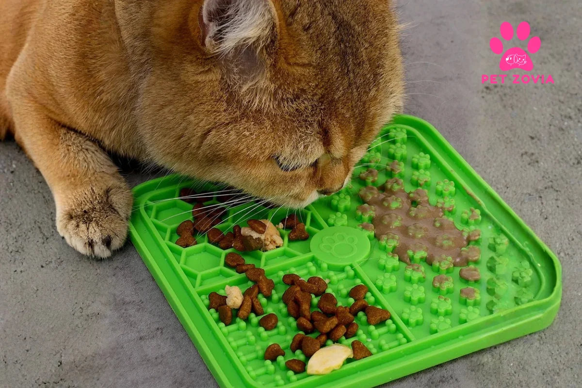 Why Every Dog Owner Needs a Dog Lick Mat for Stress Relief and Training