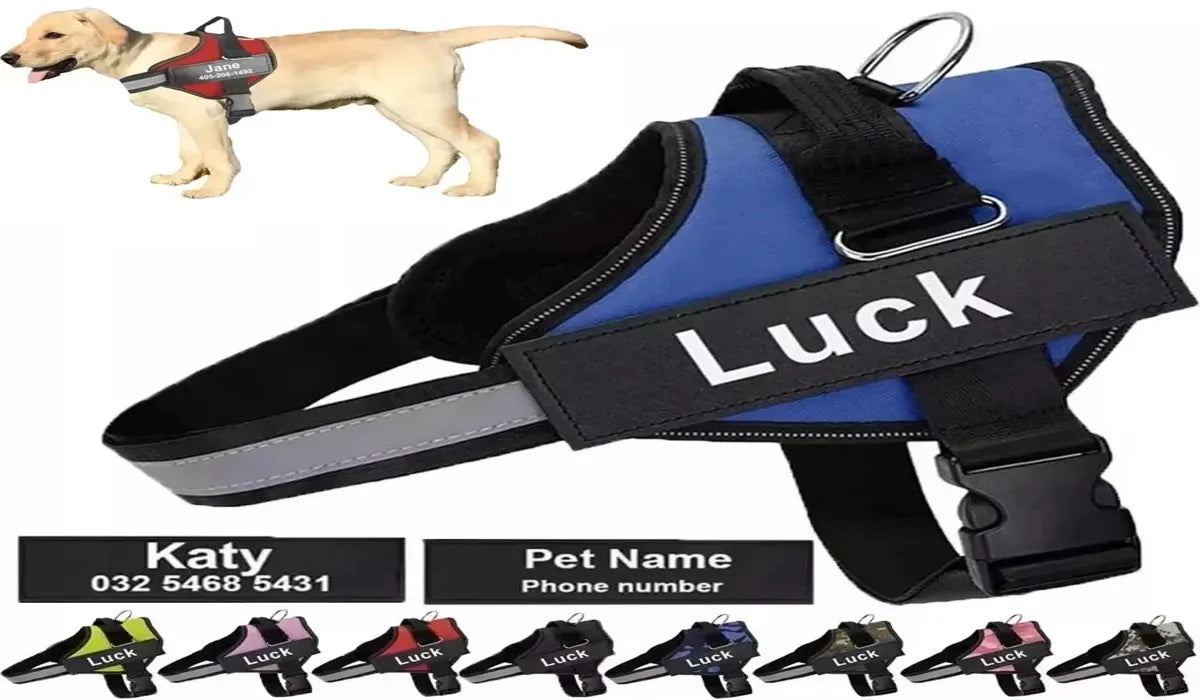 Stylish Custom Dog Harness with Secure ID Patch