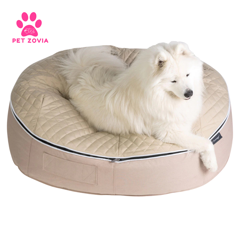 Choosing the Perfect Donut Bed A Beginner's Guide for Dog Owners