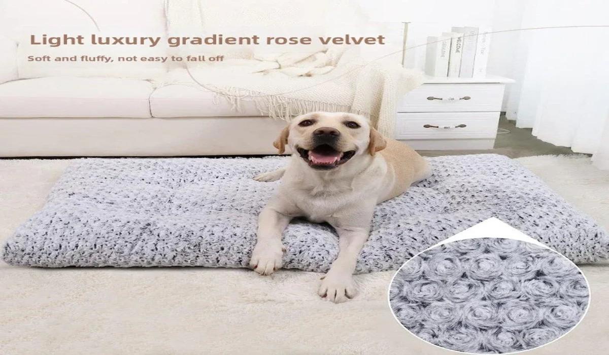 Dog Bed Cushion for Deep, Restful Sleep