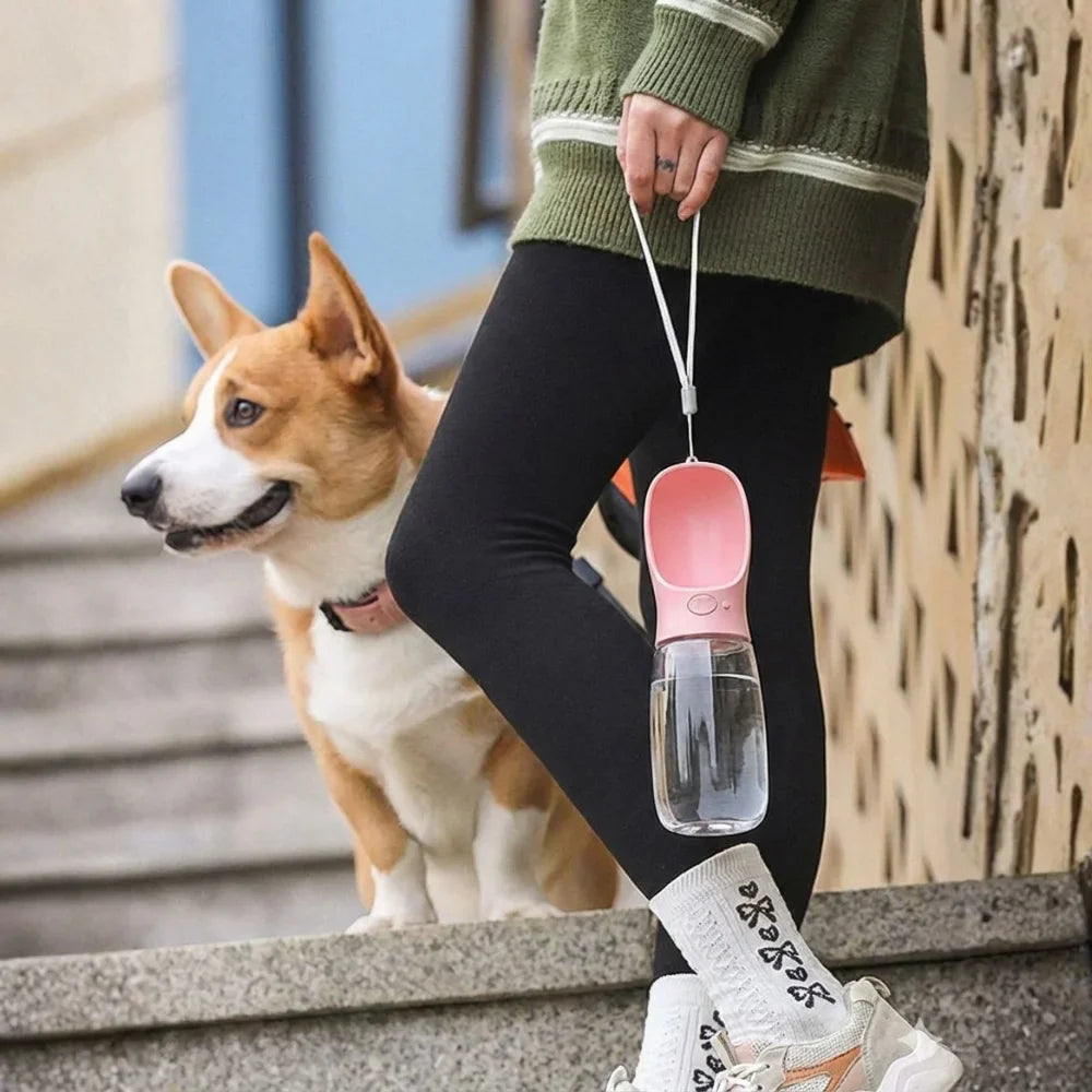 dog water bottle