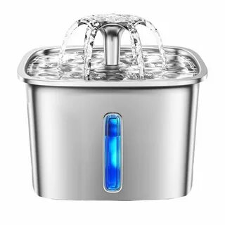 How to Select the Right Pet Water Fountain a Complete Pet Owner’s Guide