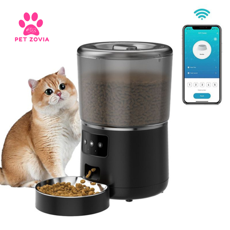 Pet Food Dispenser and the Science Behind Smarter Feeding