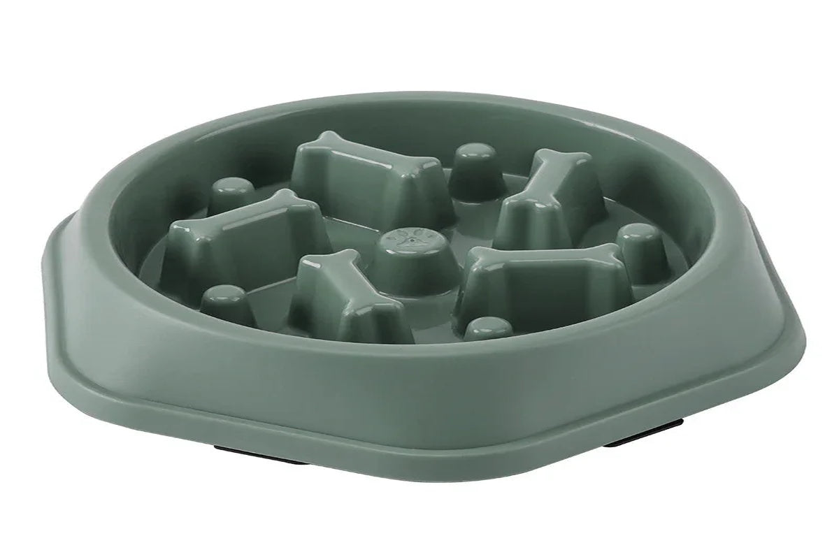 slow feeder dog bowl