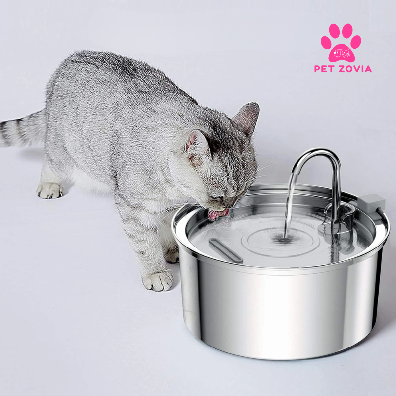 How Pet Water Fountains Encourage Pets to Drink More