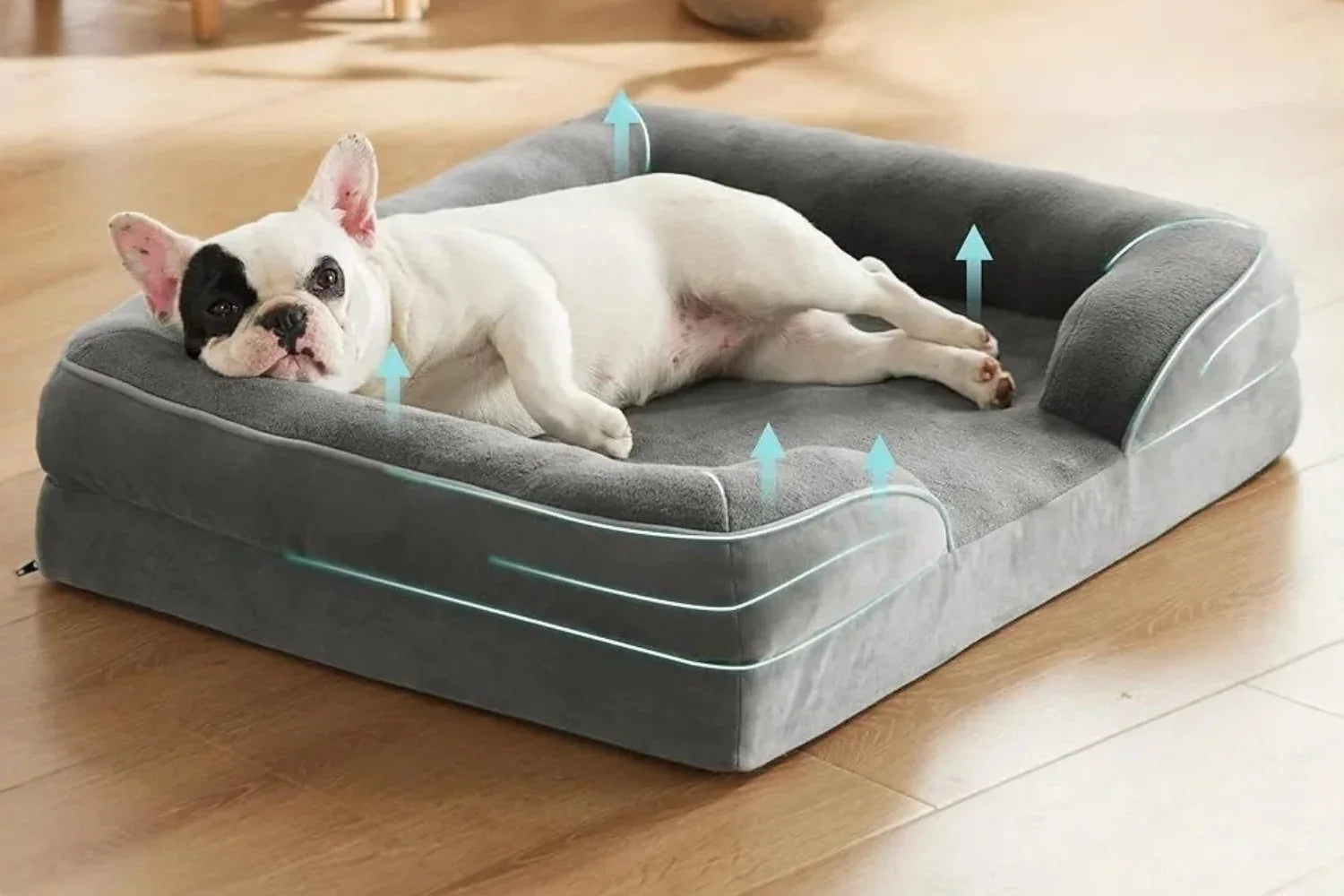 Pet Bed