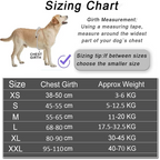 Custom Dog Harness with ID Patch | Reflective, Adjustable, No Pull
