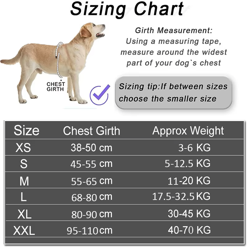 Custom Dog Harness with ID Patch | Reflective, Adjustable, No Pull