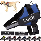 Custom Dog Harness with ID Patch | Reflective, Adjustable, No Pull
