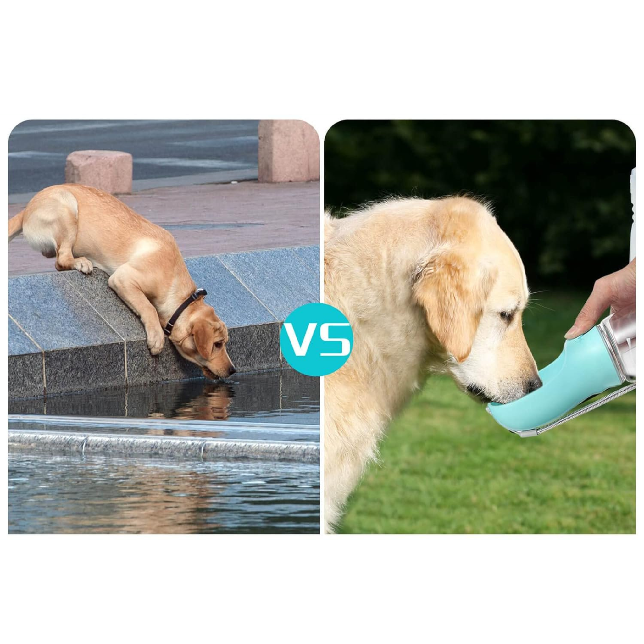 Leak-Proof Dog Water Bottle – Portable Hydration Bottle with Built-In Bowl