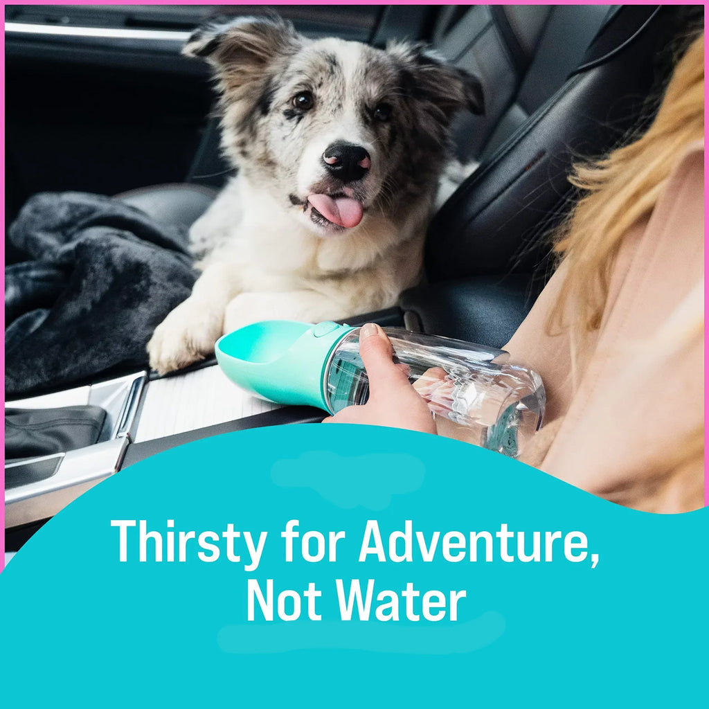 Leak-Proof Dog Water Bottle – Portable Hydration Bottle with Built-In Bowl