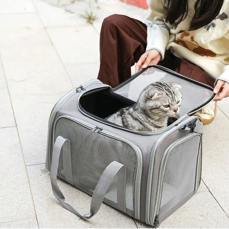 Breathable Dog Carrier Bag – Travel Handbag for Cats & Small Dogs