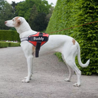 Custom Dog Harness with ID Patch | Reflective, Adjustable, No Pull