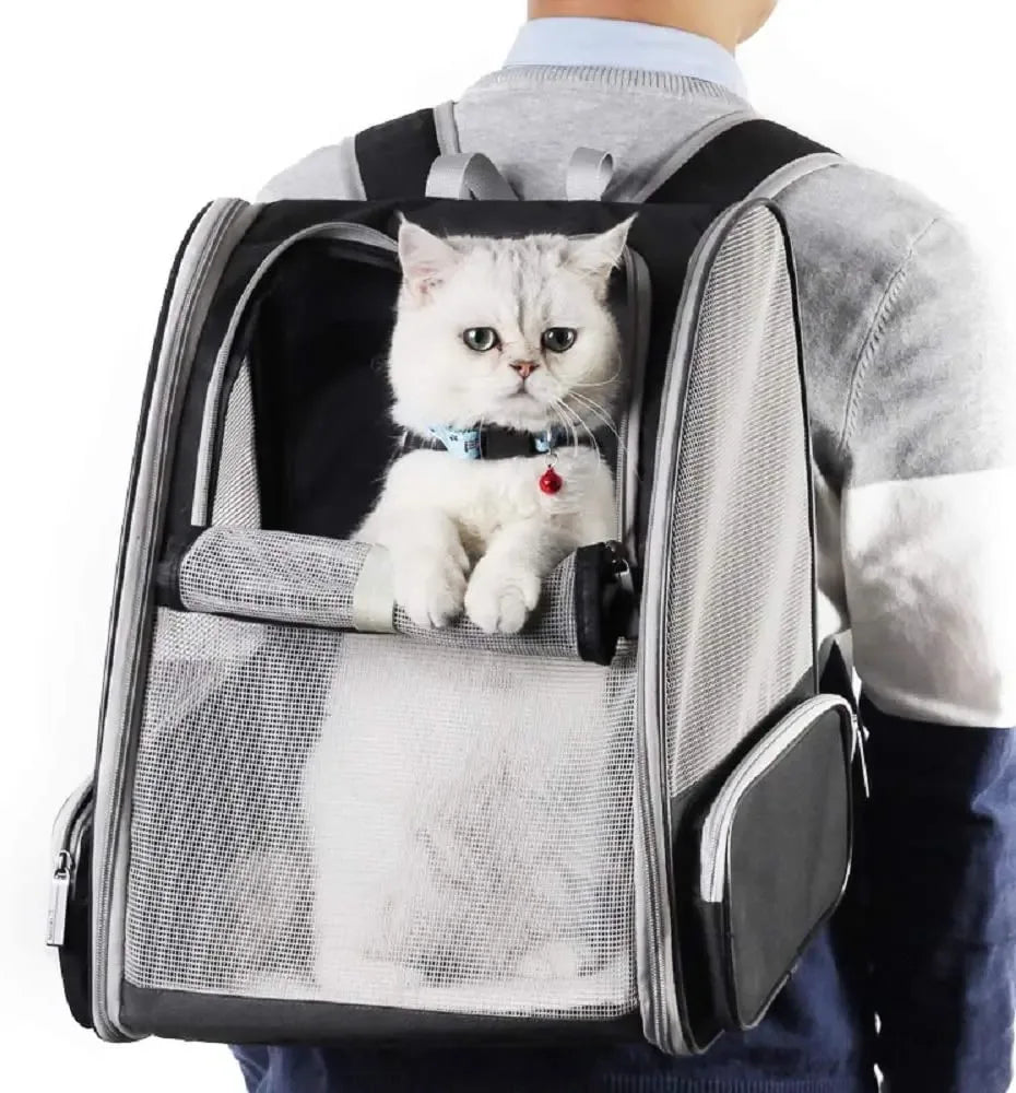 Breathable Foldable Pet Carrier Backpack – Comfortable Travel for Cats & Small Dogs