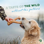 Wishbone Durable wishbone dog toy – Long-Lasting Duck-Shaped Chew for Aggressive Chewers