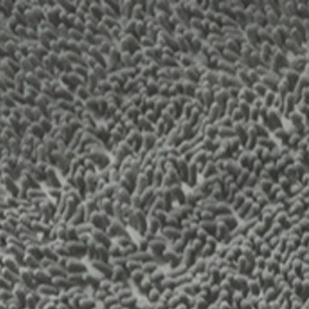 Dog Foot Cleaning Mat – Ultra-Absorbent, Plush & Non-Slip Pet Pad for Home Use